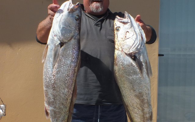 Gansbaai Birkenhead Boothengelkompetisie Gawie Krugel_1